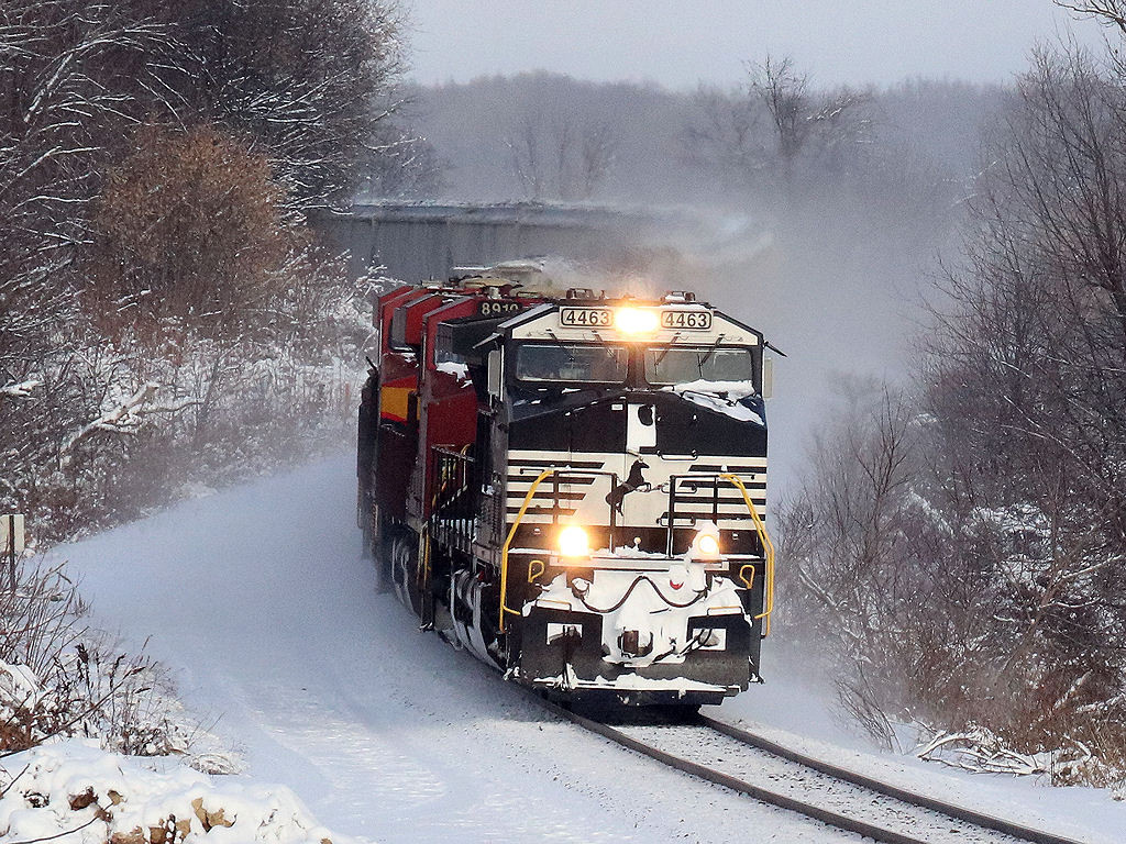 NS 4463